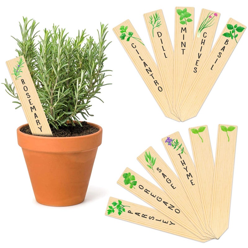 Huray Rayho 12PCS Wooden Indoor Herb Plant Labels Signs - Assorted Indoor Garden Stakes - Re-Usable Plant Tags - Image 1